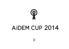 AiDEM CUP 2013 ENTRY