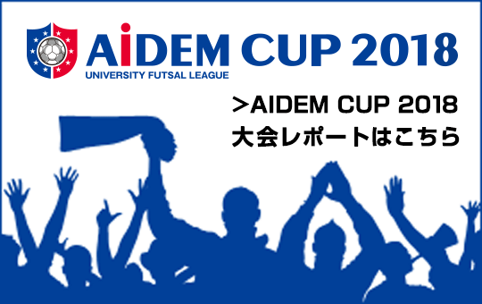 AIDEM CUP 2018